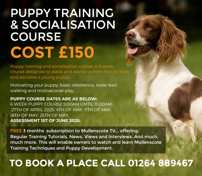 brand new puppy training and socialisation course