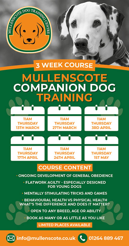Companion Courses