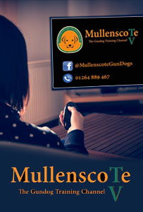 Mullesncote TV