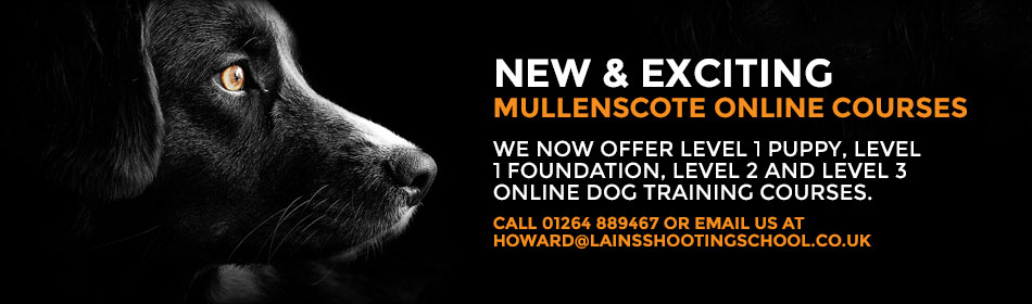 Mullenscote Gundogs - dog training, stud dogs and dogs for sale