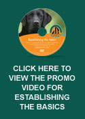 Click here to view the promo video for the DVD